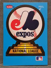 Expos [Sticker] #NNO Baseball Cards 1987 Fleer Limited Edition Prices