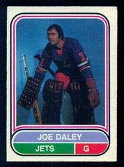 Joe Daley #101 Hockey Cards 1975 O-Pee-Chee WHA Prices