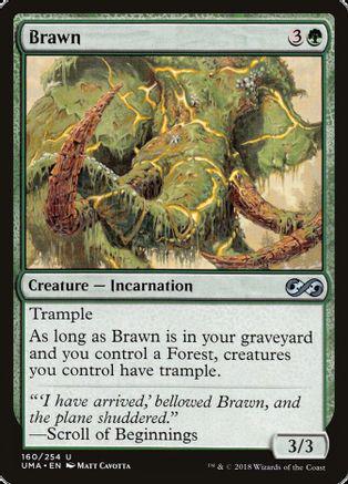 Brawn Magic Ultimate Masters