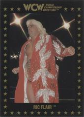 Ric Flair #8 Wrestling Cards 1991 Championship Marketing WCW Prices