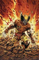 Return of Wolverine [McNiven Costume Virgin] Comic Books Return of Wolverine Prices