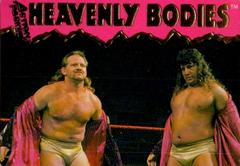 Heavenly Bodies #5 Wrestling Cards 1995 Action Packed WWF Prices