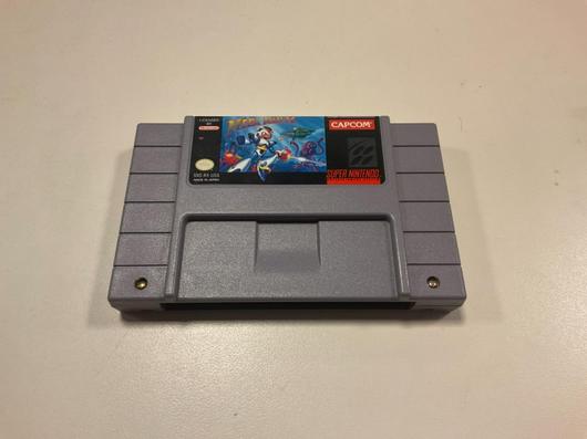 Mega Man X photo