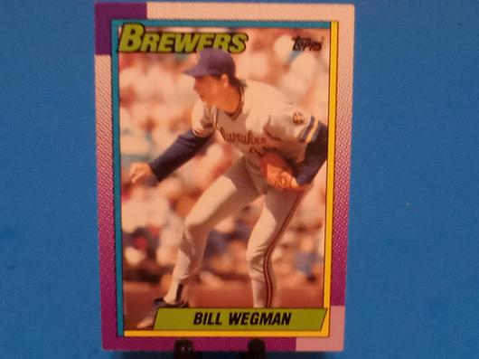 Bill Wegman #333 photo