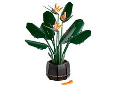 LEGO Set | Bird of Paradise LEGO Creator