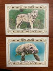 Gray Wolf Baseball Cards 2021 Topps Allen & Ginter Rallying Back Prices