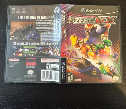 F-Zero GX photo