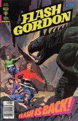 Flash Gordon #19 (1978) Comic Books Flash Gordon Prices