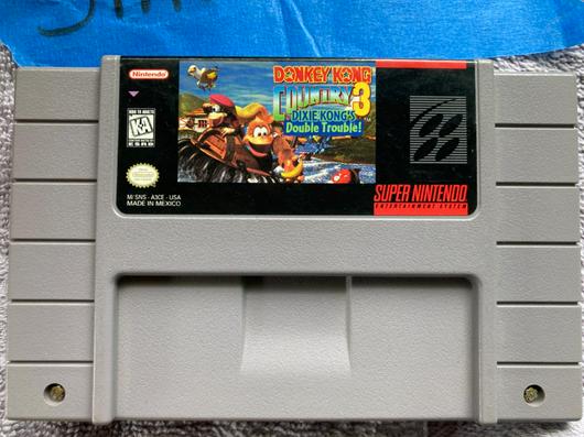 Donkey Kong Country 3 photo