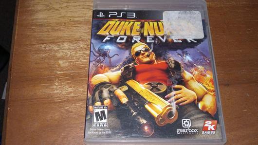 Duke Nukem Forever photo