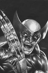 Wolverine [Suayan Sketch] #1 (2020) Comic Books Wolverine Prices