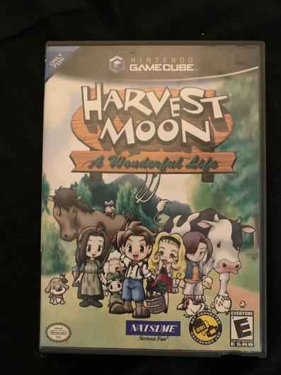 Harvest Moon A Wonderful Life photo