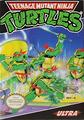 Teenage Mutant Ninja Turtles | NES
