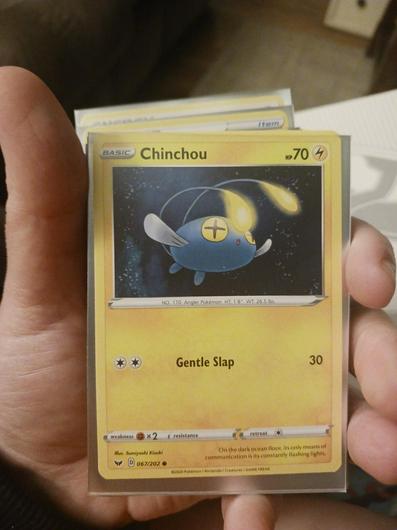 Chinchou #67 photo