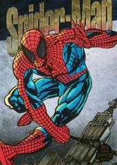 Spider-Man [Silver] #6 Marvel 1994 Universe Powerblast Prices