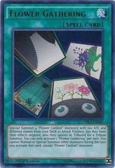Flower Gathering YuGiOh Dragons of Legend Unleashed Prices