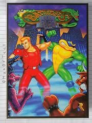 Box Front | Battletoads and Double Dragon [Collector's Edition] NES