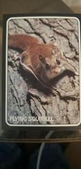 Flying Squirrel #75Z-10 Baseball Cards 2024 Topps Heritage Zoo’s Who Stick-On Prices