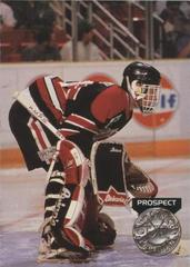 Dominik Hasek Hockey Cards 1991 Pro Set Platinum Prices