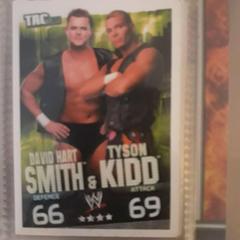 David Hart Smith, Tyson Kidd Wrestling Cards 2009 Topps WWE Slam Attax Prices