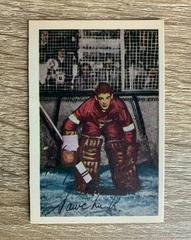 Terry Sawchuck Hockey Cards 1952 Parkhurst Prices