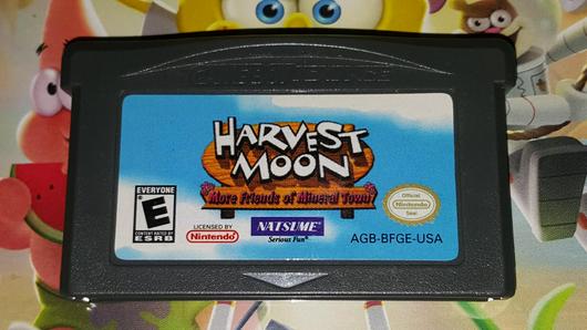 Harvest Moon More Friends of Mineral Town photo