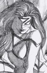 Spider-Woman [Virgin Sketch] Comic Books Spider-Woman Prices
