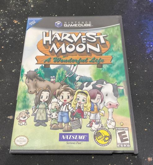Harvest Moon A Wonderful Life photo