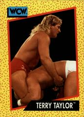 Terry Taylor Wrestling Cards 1991 Impel WCW Prices