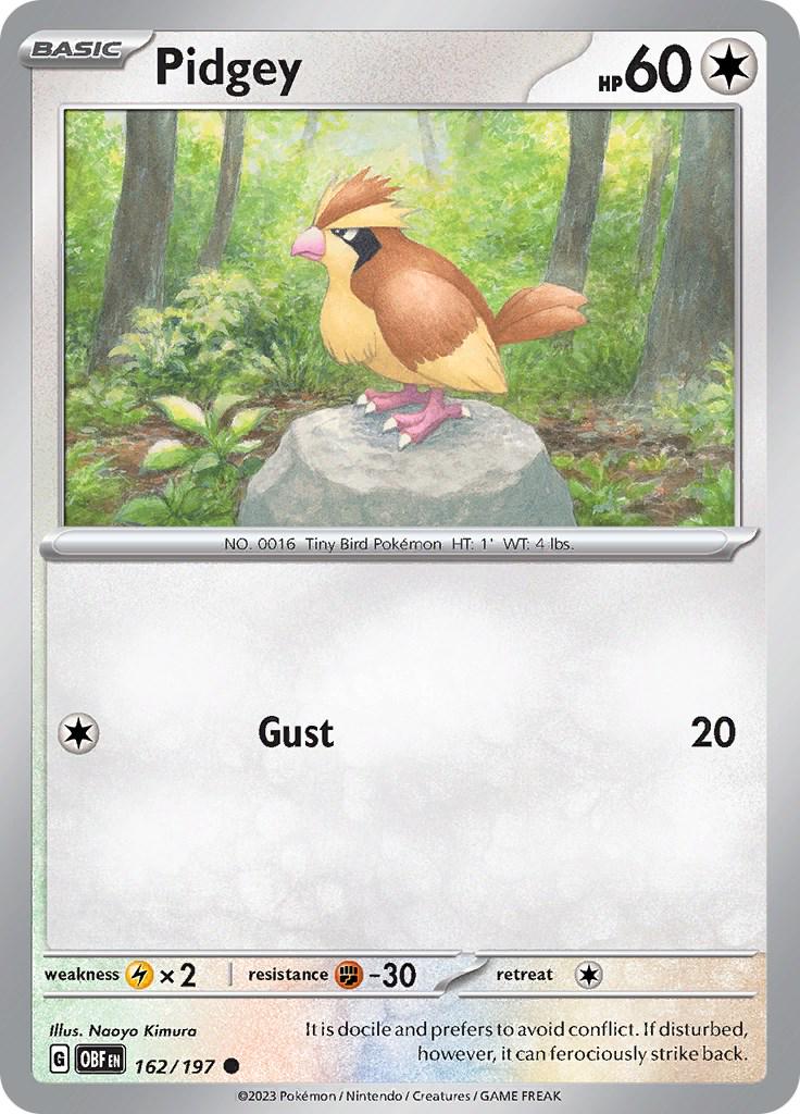 Pidgey #162 Pokemon Obsidian Flames