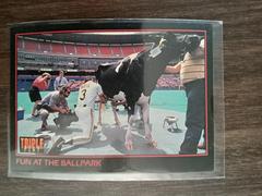 Fun At The Ballpark #261 Baseball Cards 1993 Panini Donruss Triple Play Prices