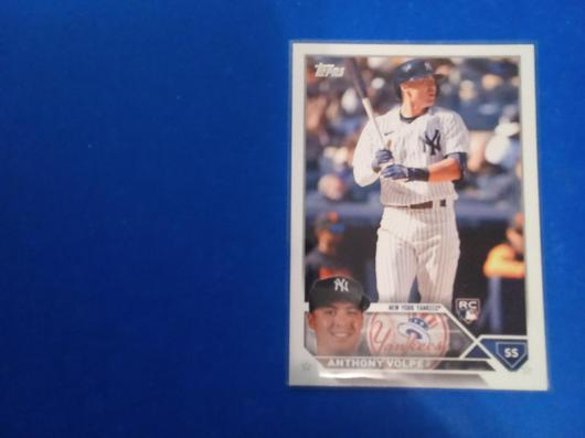 Anthony Volpe [Complete Set Retail Variation] #460 photo