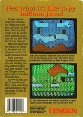 Back Cover | Indiana Jones and the Temple of Doom [Tengen] NES