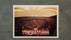 Pontiac Silverdome Wrestling Cards 1990 Classic WWF The History of Wrestlemania Prices
