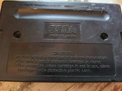 Cartridge (Reverse) | Insector X Sega Genesis