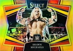 Shawn Michaels [Gold] #5 Wrestling Cards 2023 Panini Select WWE Snapshots Prices