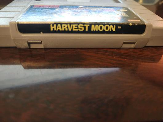 Harvest Moon photo