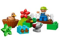 LEGO Set | Forest: Ducks LEGO DUPLO