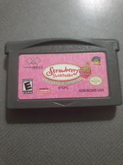 Cartridge | Strawberry Shortcake: Summertime Adventure [Special Edition] GameBoy Advance