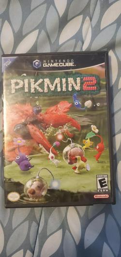 Pikmin 2 photo