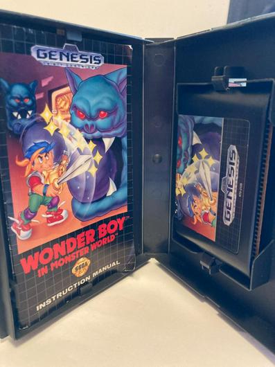 Wonder Boy in Monster World photo