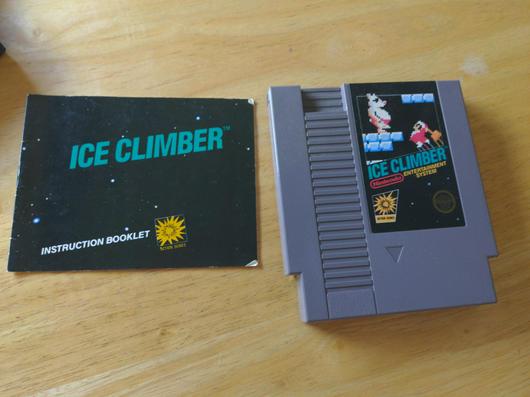 Ice Climber photo