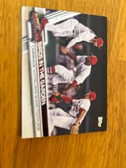 Birds In The Garden #US185 Baseball Cards 2017 Topps Update Prices