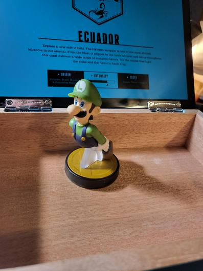 Luigi photo