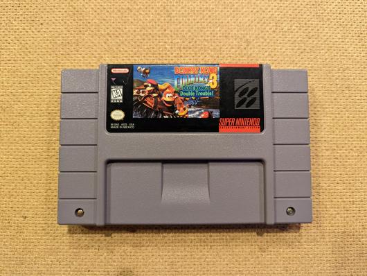 Donkey Kong Country 3 photo