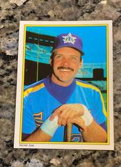 Richie Zisk #21 Baseball Cards 1983 Topps All Star Glossy Set of 40 Prices
