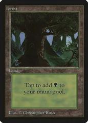 Forest [C] Magic Beta Prices
