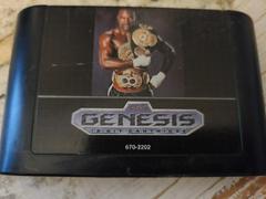 Cartridge (Front) | Evander Holyfield's Real Deal Boxing Sega Genesis