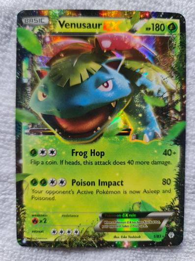 Venusaur EX #1 photo