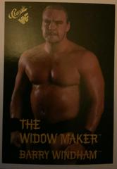 The Widow Maker Barry Windham Wrestling Cards 1990 Classic WWF Prices